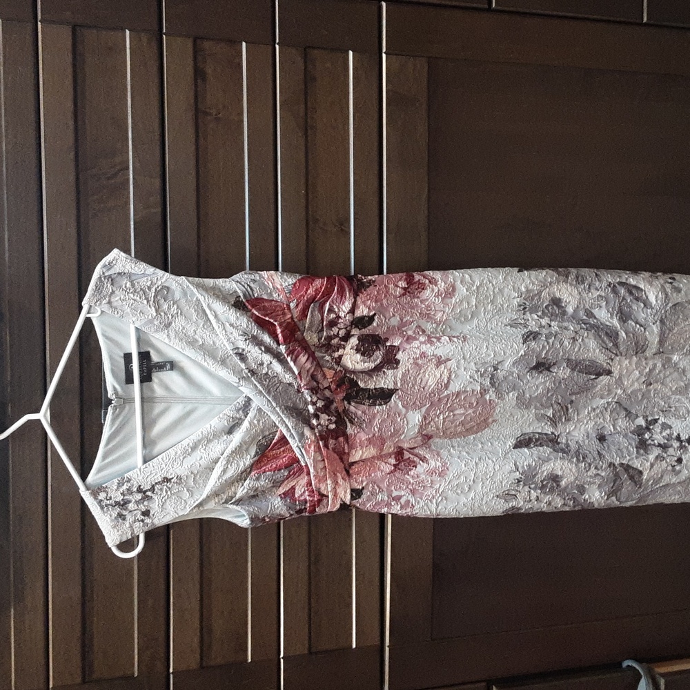 Adrianna Papell dress size 4 worn one as mother of the bride